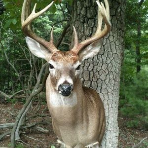 Meet your Posher, Jeremy